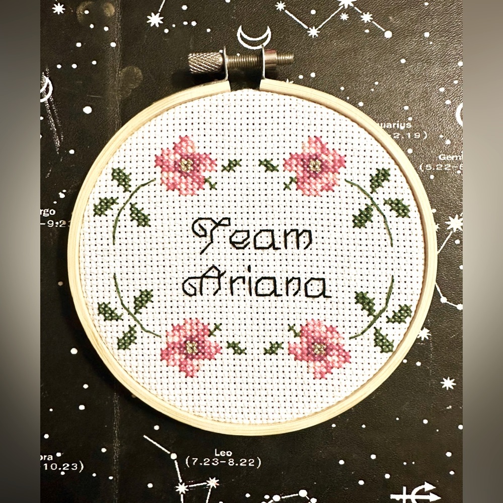 Team Ariana 4 inch cross stitch